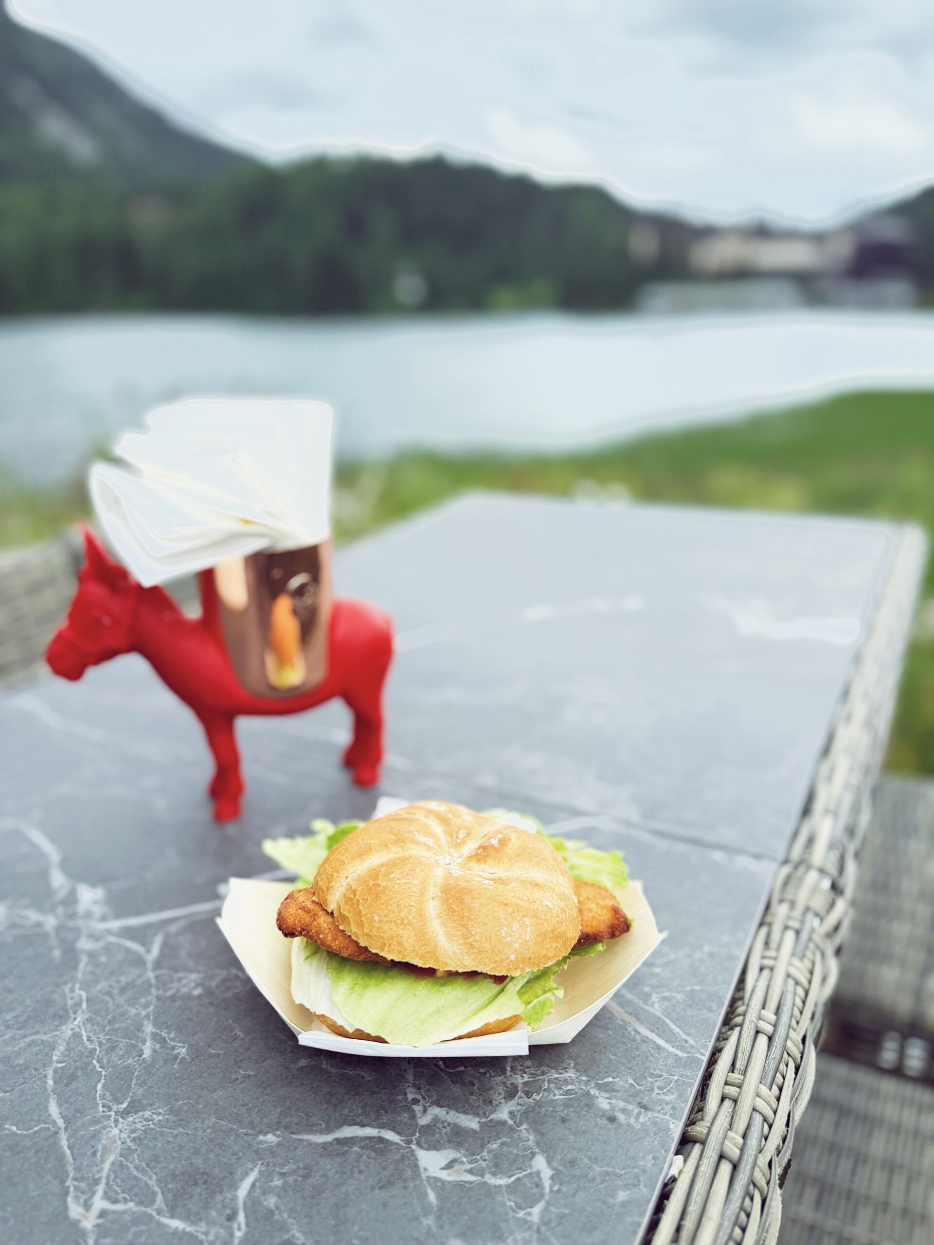 der "Habsburger" beim Boxenstop auf der Turracher Höhe
