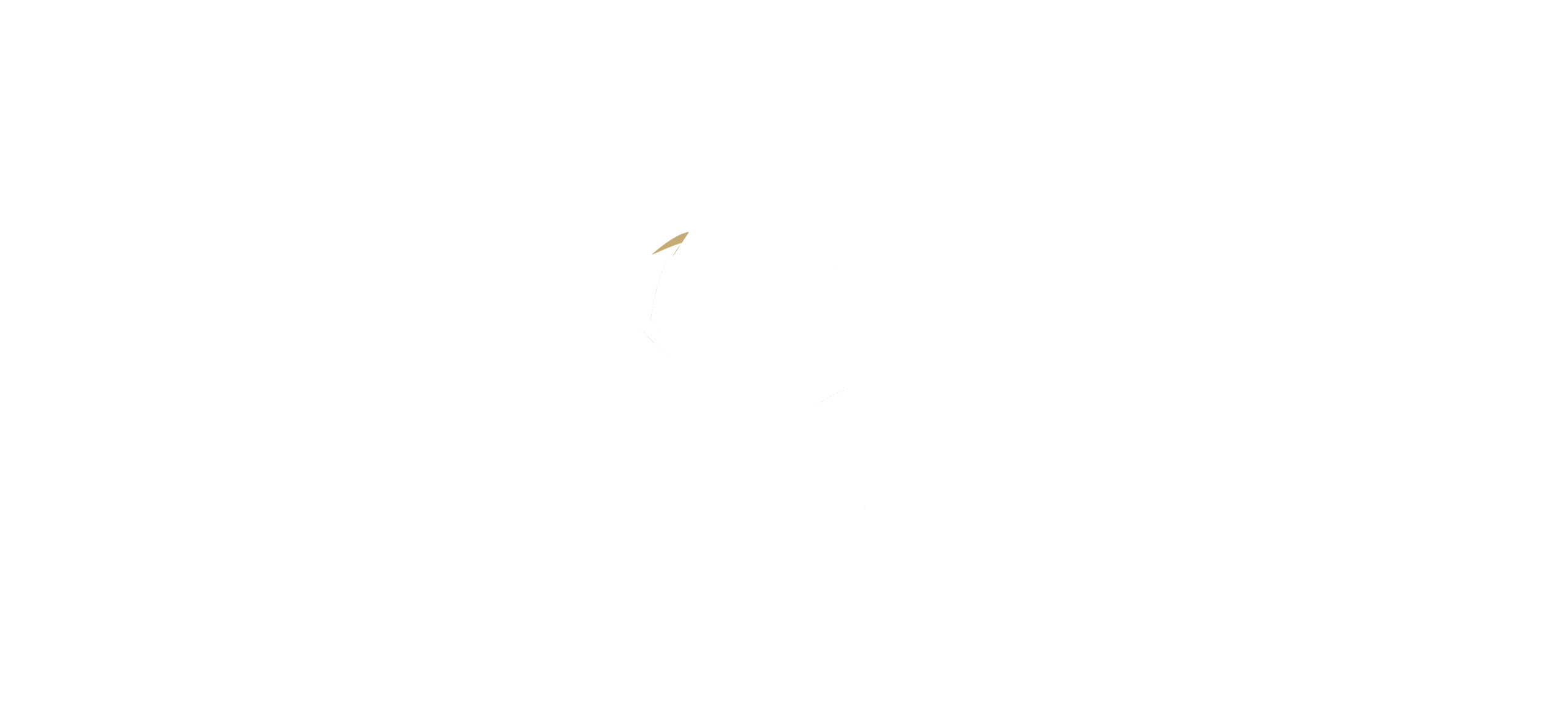 Almschatz Logo