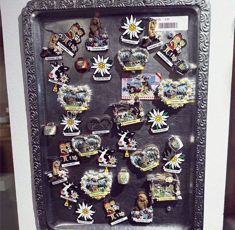 Bergstecknadeln im Almschatz auf der Turrach