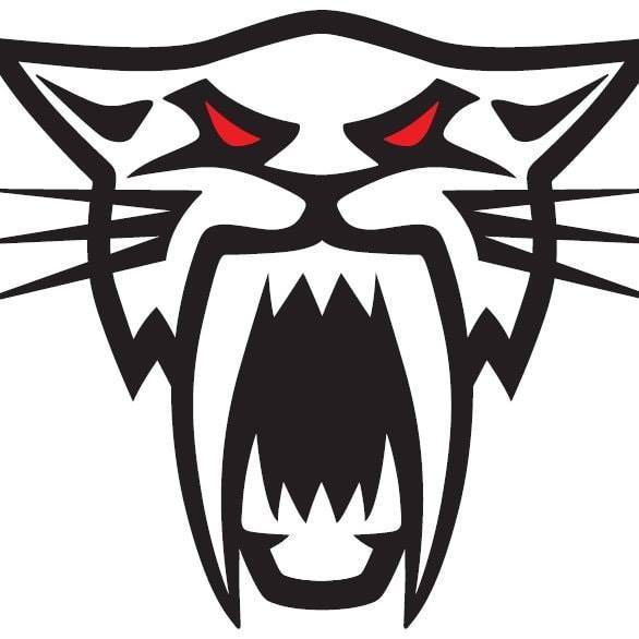 Snowmobiling auf der Turracher Höhe Logo